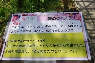 s-DSC_0062.jpg