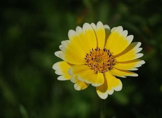 s-DSC_0078.jpg