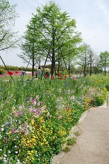 s-DSC_0090.jpg