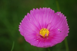 s-DSC_0107.jpg