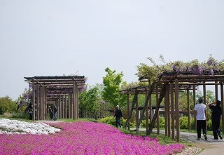 s-DSC_0111.jpg