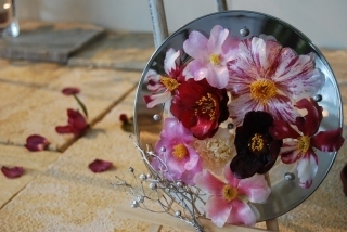 s-DSC_0137.jpg