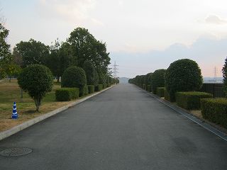 s-南ゾーンへの近道 (6).jpg