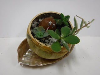 s-多肉植物寄せ植え (4).jpg