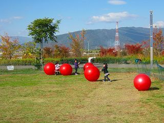s-大玉(使用可) (4).jpg