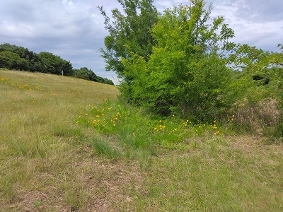 s-IMG_20250531_100820.jpg