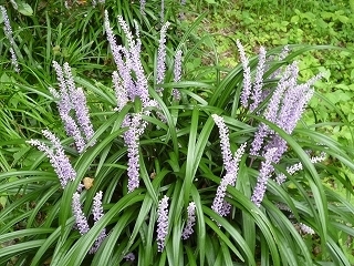 s-P1010365.jpg