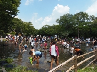 s-P8070180.jpg
