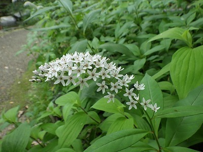 s-RIMG3847.jpg