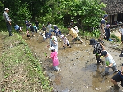 s-RIMG7893.jpg